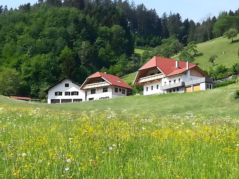 Ferienwohnung in Oberharmersbach für max. 3 Gäste