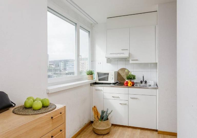 Wonderful holiday apartment | Pets are welcome in Opfikon