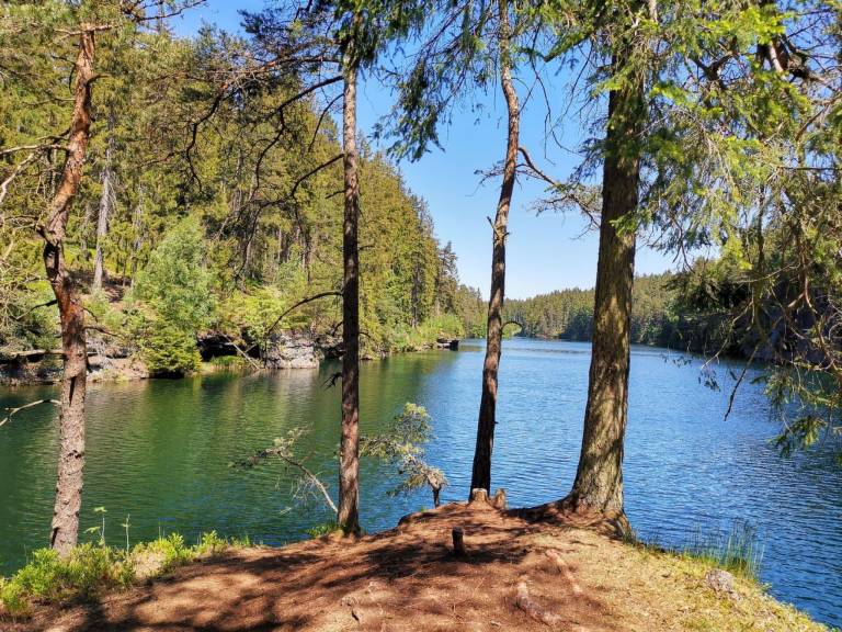 Fully equipped charming apartment with yard, sauna & terrace | Mountain view | Pets are welcome — photo 2