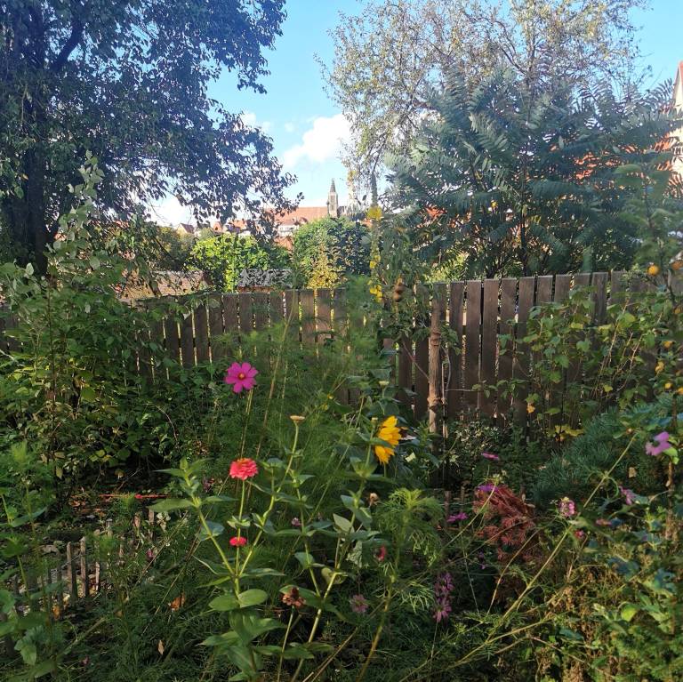 foto20