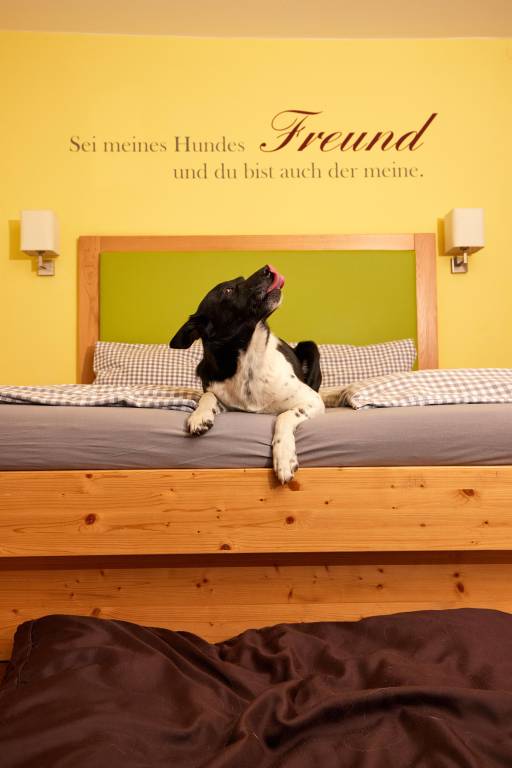 Hotel Grimming dogs&friends in Rauris