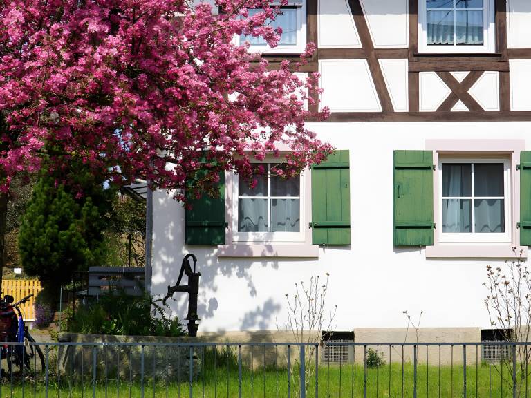 Ferienwohnung  Lahr/Schwarzwald