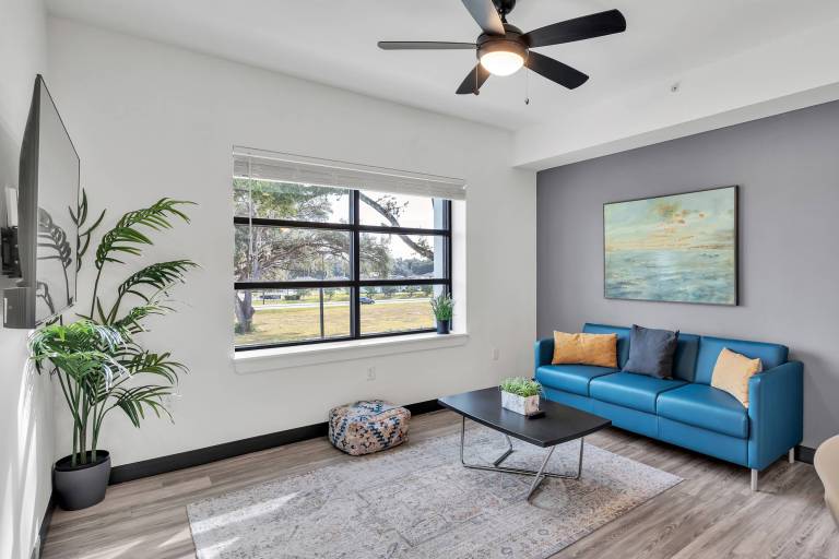 Apartment Zephyrhills