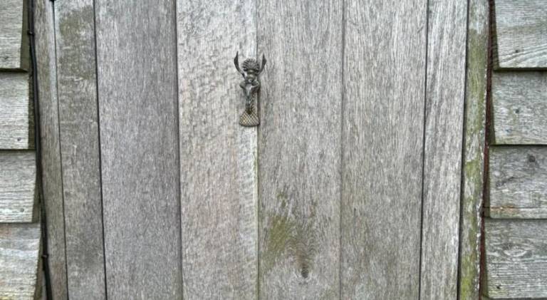 foto13