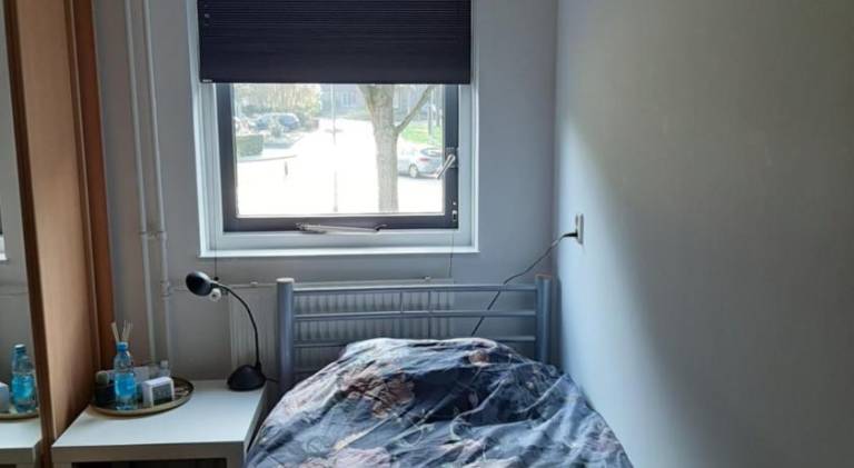 foto44