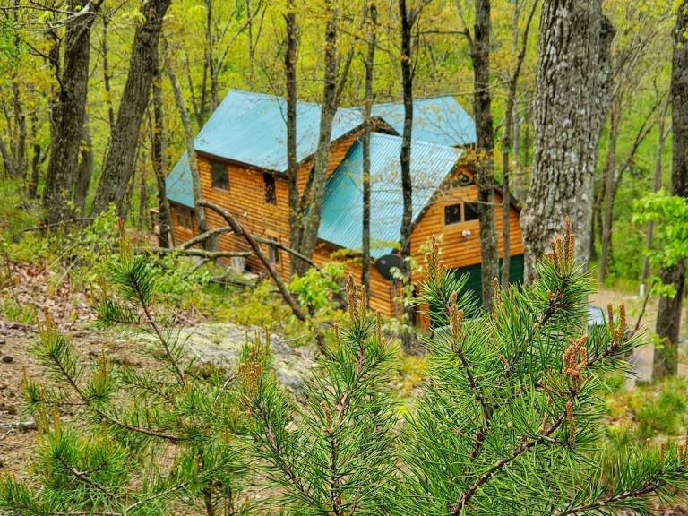 Cabin Green Spring
