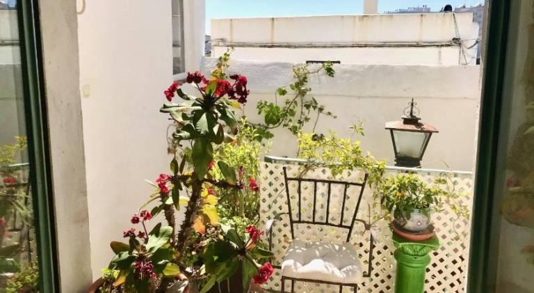 Rental apartment with 1 room for 3 persons — photo 4