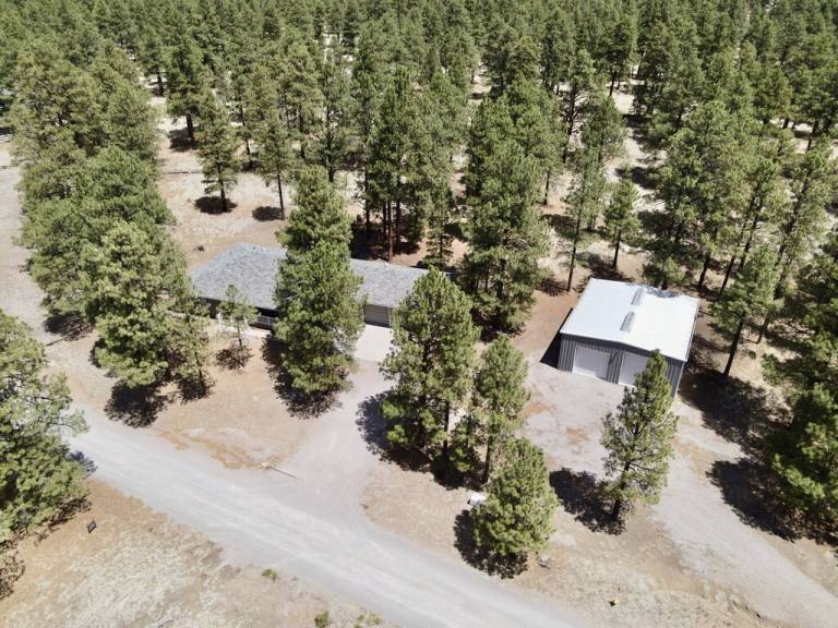 Cabin Flagstaff