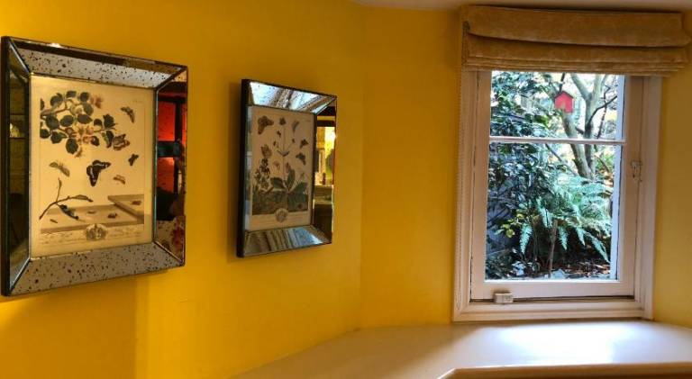 foto11