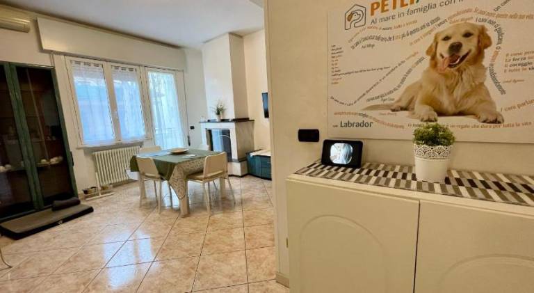 Nice rental apartment | Next to the beach | Dogs allowed — photo 3