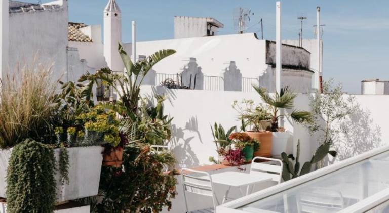 Botanico Casa Rural — photo 5