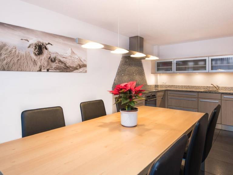 Fully equipped spacious rental apartment with barbeque & yard | Mountain view | Next to the ski | Dogs allowed — photo 4