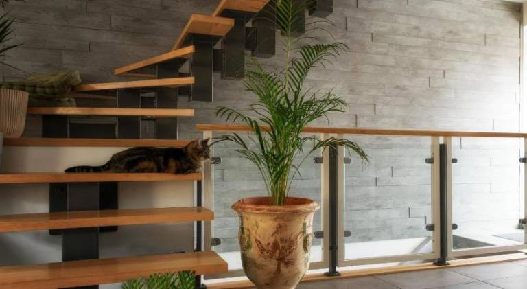 Holiday apartment with 3 rooms for 6 persons — photo 3