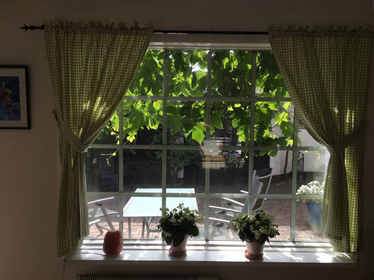foto10