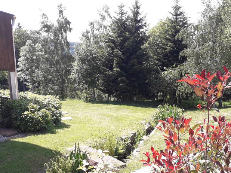 foto19