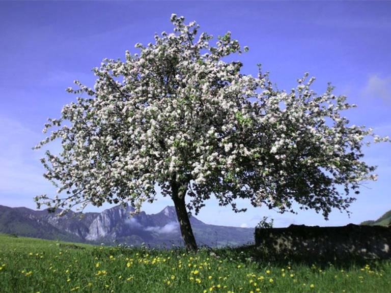 foto21