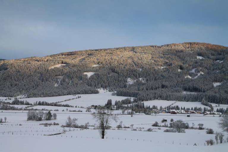 Lassacher, Restlhof — photo 3