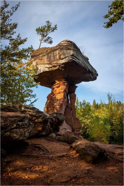 foto24