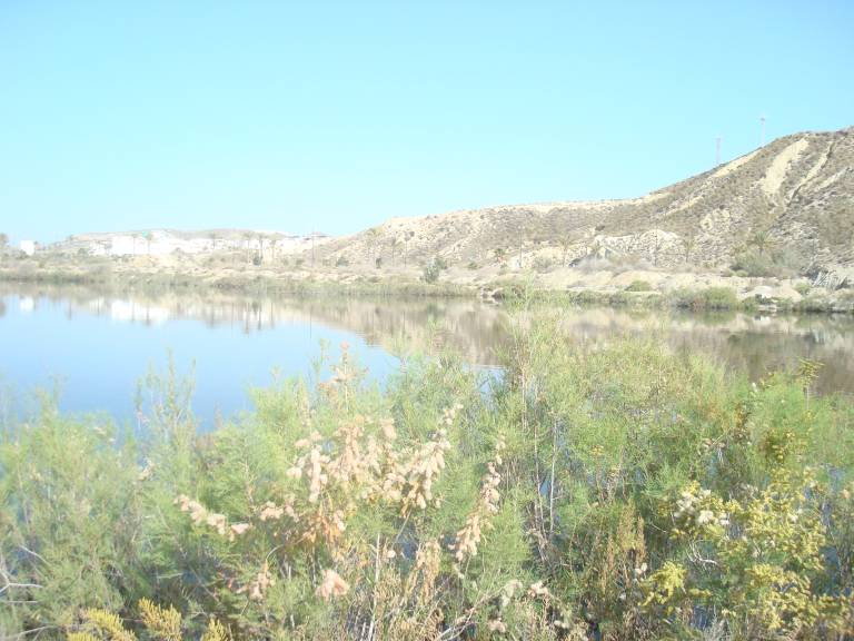 foto6