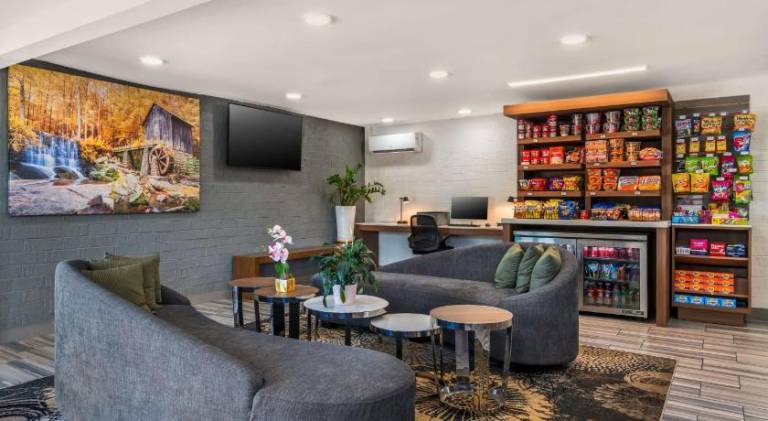 Best Western Atlanta-Marietta Ballpark Hotel — photo 3