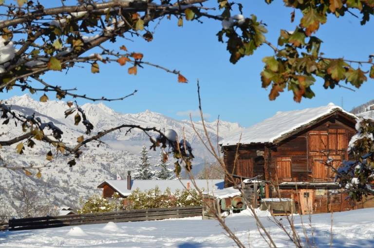 Ferienwohnung Grächen