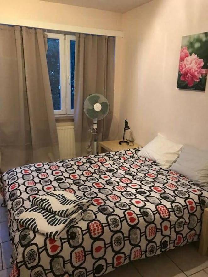 Holiday apartment | Pet-friendly — photo 2