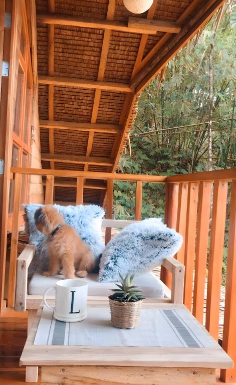 Vacation home | Perfect for remote work — photo 3