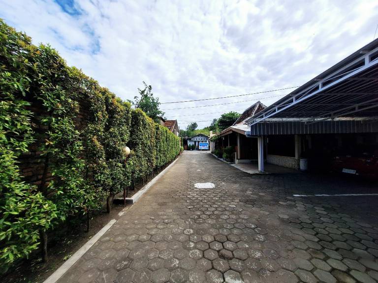 foto11