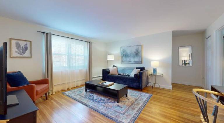 Beautiful, Homey 1BR Close to Longwood Medical — photo 2