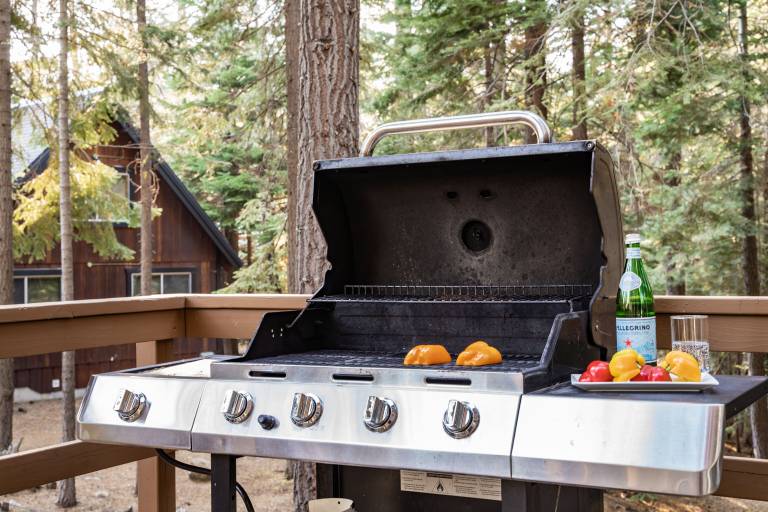 Cabin Placer County