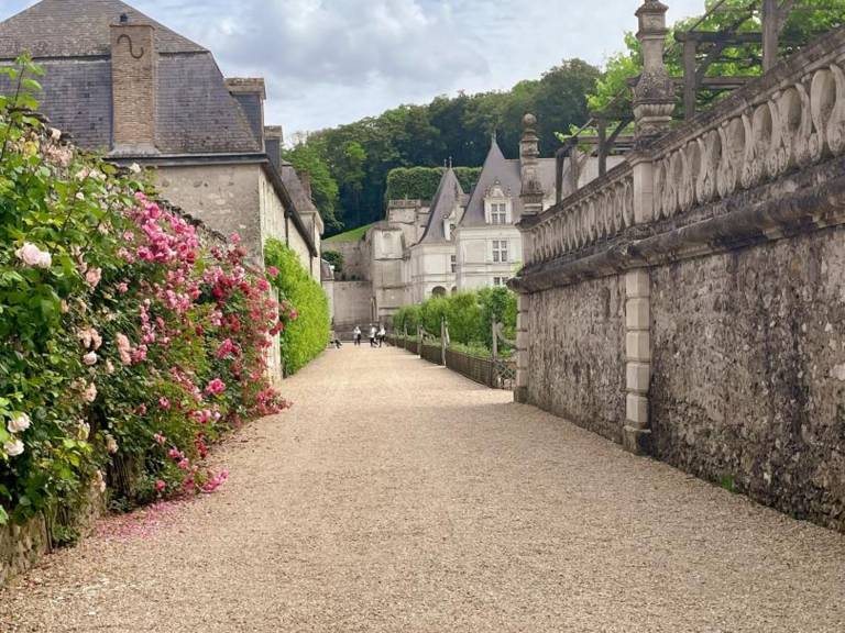 Charming Cottage with AC, Enclosed Garden, and Secure Garage near Villandry Castle — photo 5