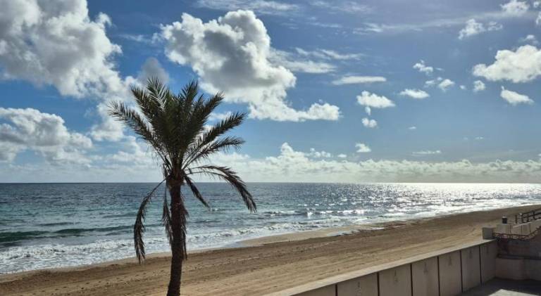 Wonderful rental apartment with terrace | Next to the beach | Dogs allowed — photo 5