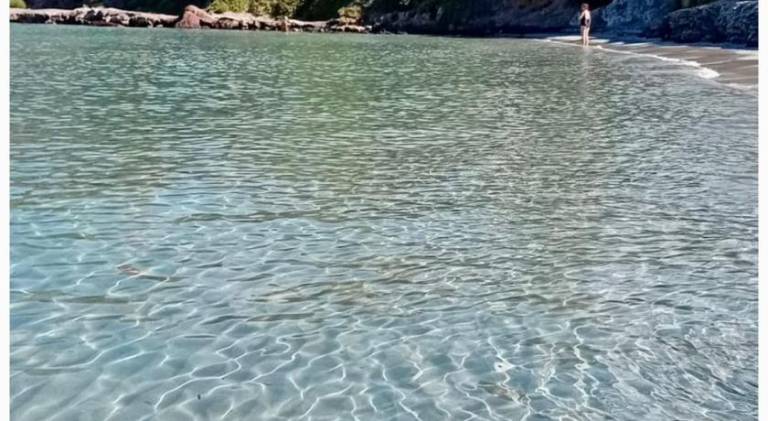 Holiday apartment | Beach nearby | Pet-friendly — photo 5