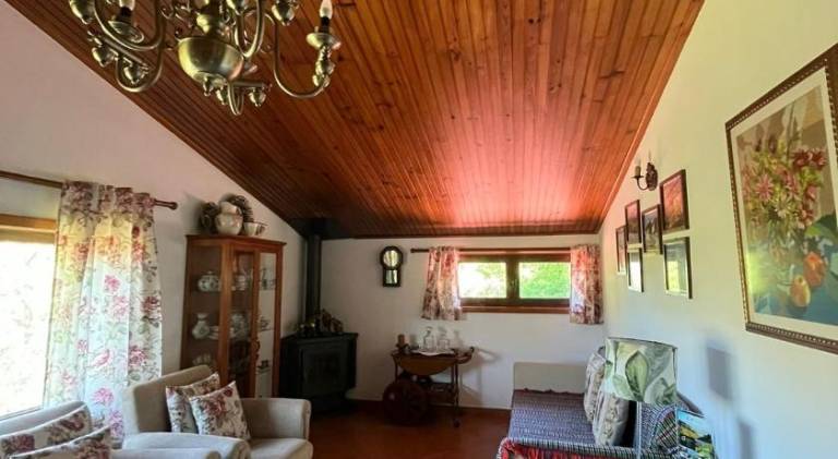 House with barbeque, patio & yard | Pets allowed — photo 3