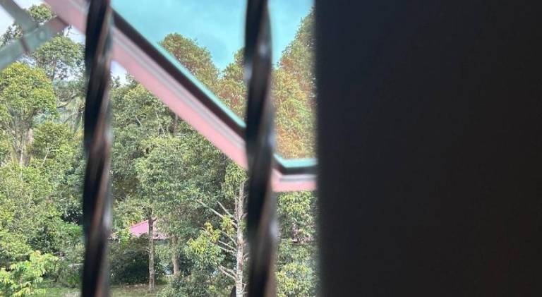 foto43