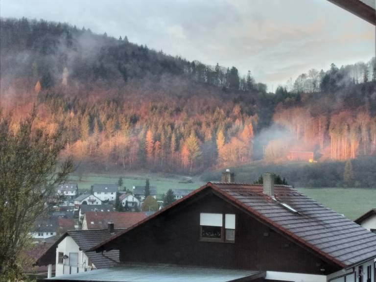 foto32