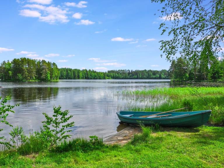 House with barbeque & sauna | Nature view | Pets allowed — photo 4