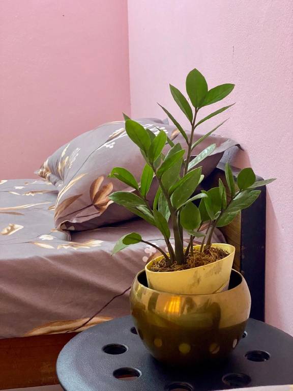 foto42