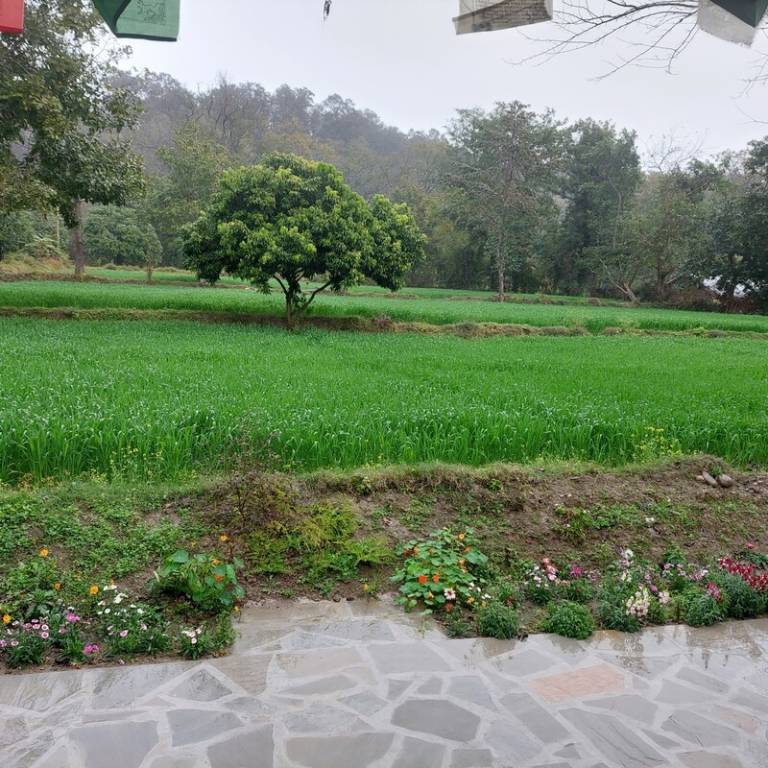 foto15