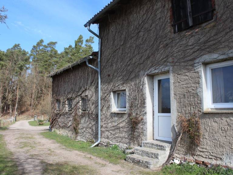 foto15