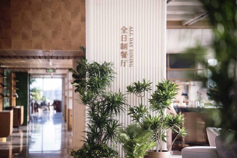 foto7
