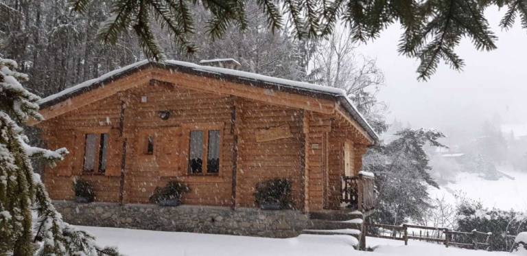 Chalet Menthon-Saint-Bernard
