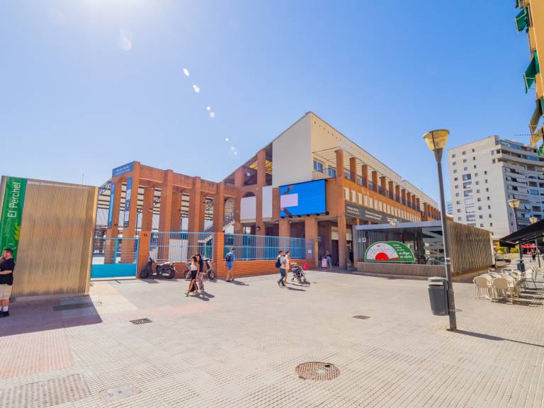 foto12