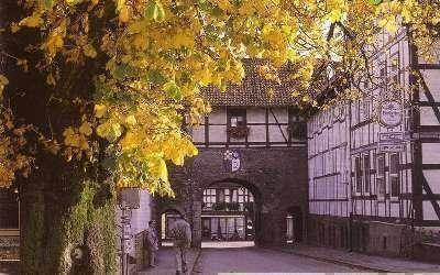 foto25