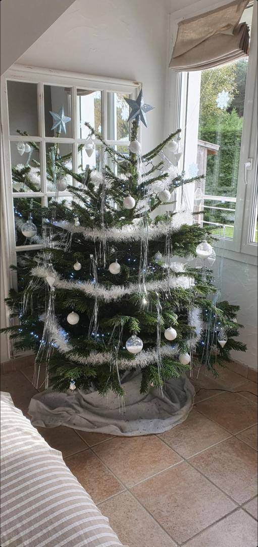 foto28