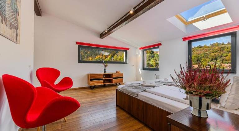 Villa with terrace & garden | Dogs allowed in Brasov