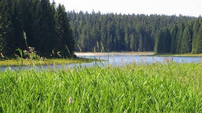 Apartmán  Nové Hamry