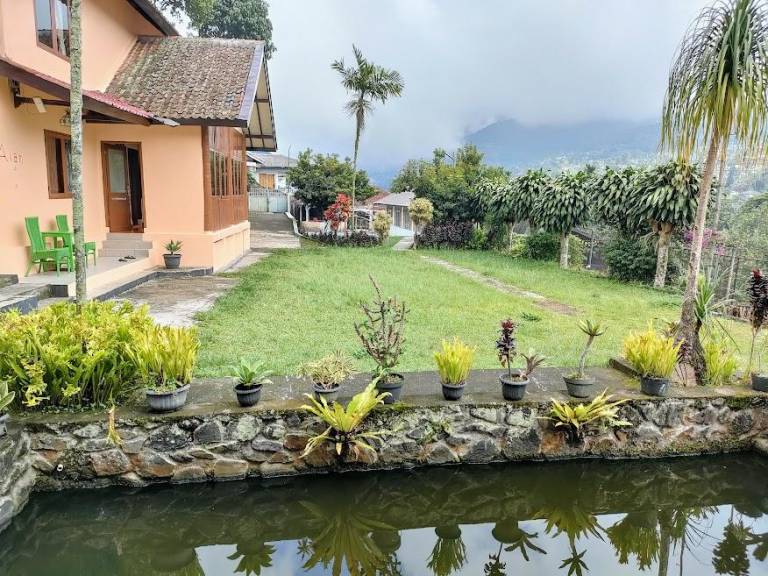 foto46