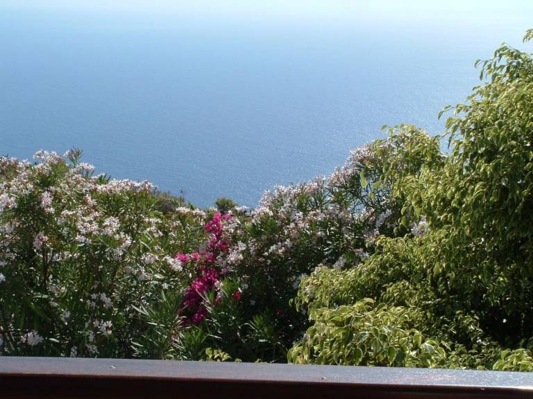 House with terrace, BBQ & garden — photo 4
