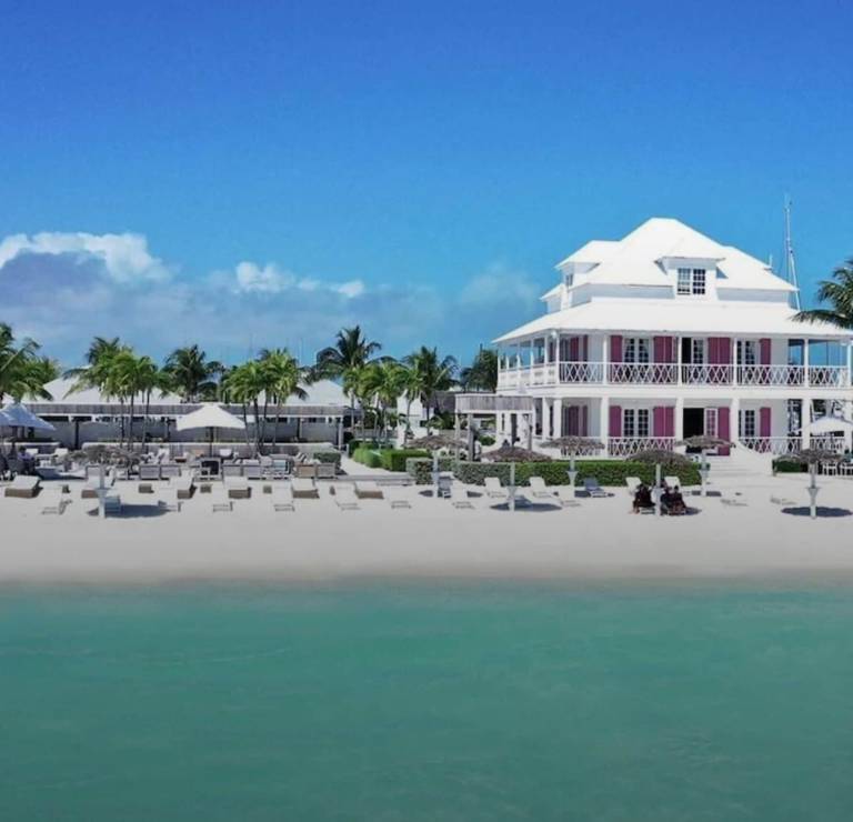House Palm Cay